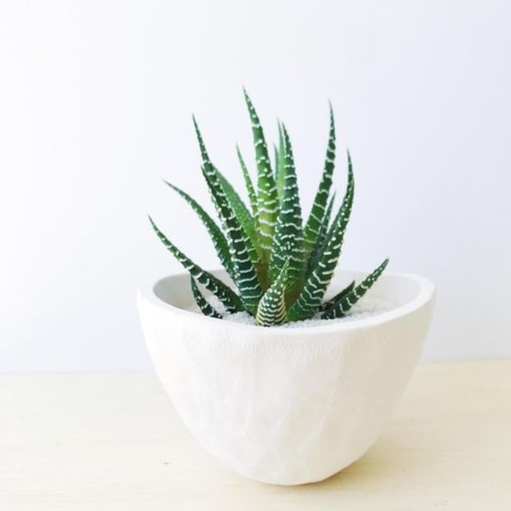 Promoting sustainable, ethical fashion!